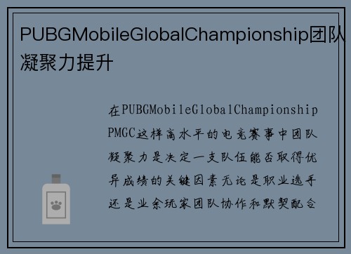 PUBGMobileGlobalChampionship团队凝聚力提升